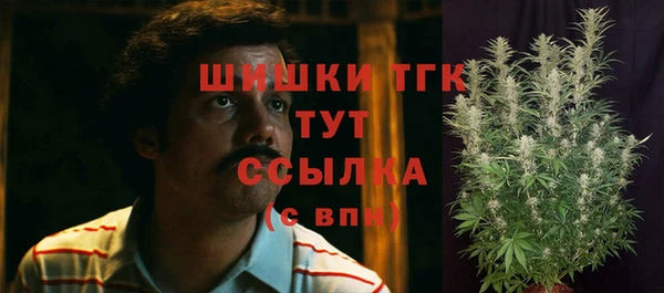 трава Армянск