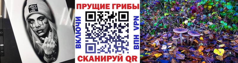 Псилоцибиновые грибы Psilocybe  закладка  Лангепас 
